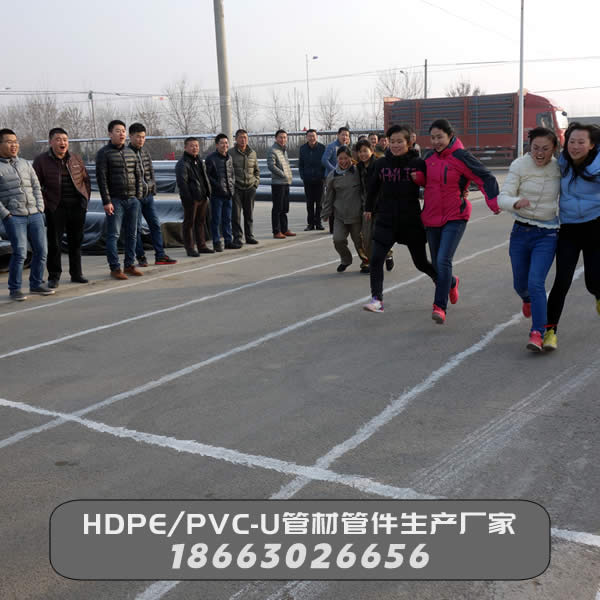 ?元旦雙人跑步競賽活動(dòng)